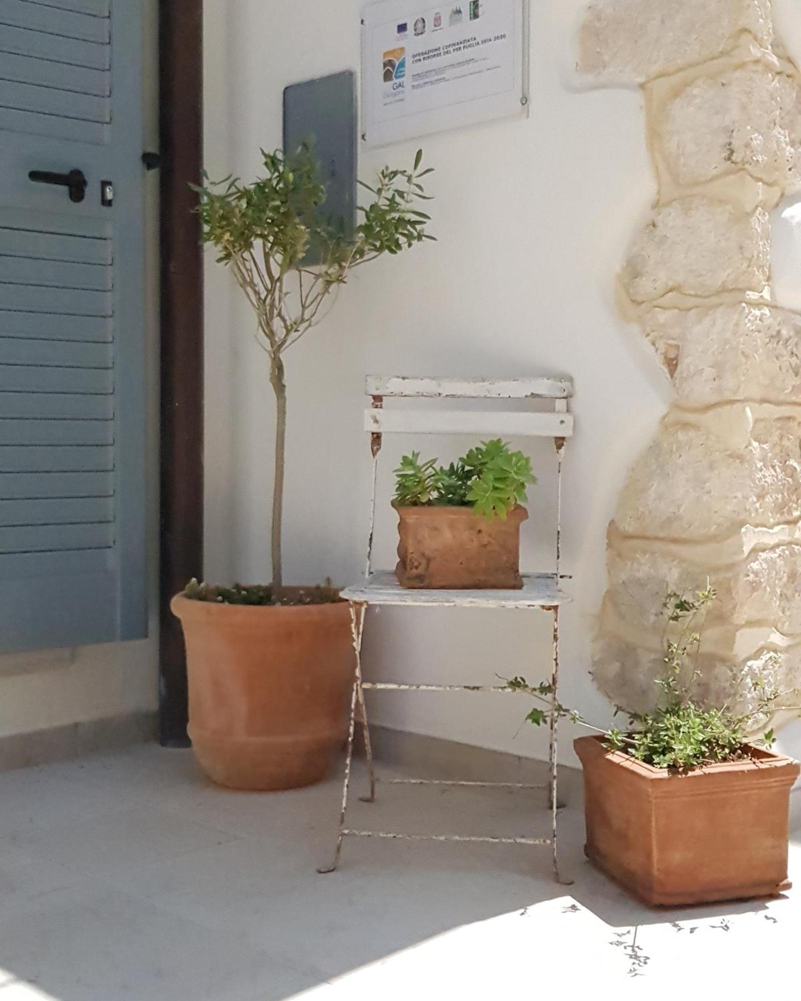 Gargara Bed And Breakfast Vico del Gargano Kültér fotó